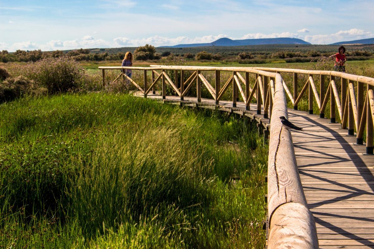 Parque natural "Laguna de Fuente de Piedra"