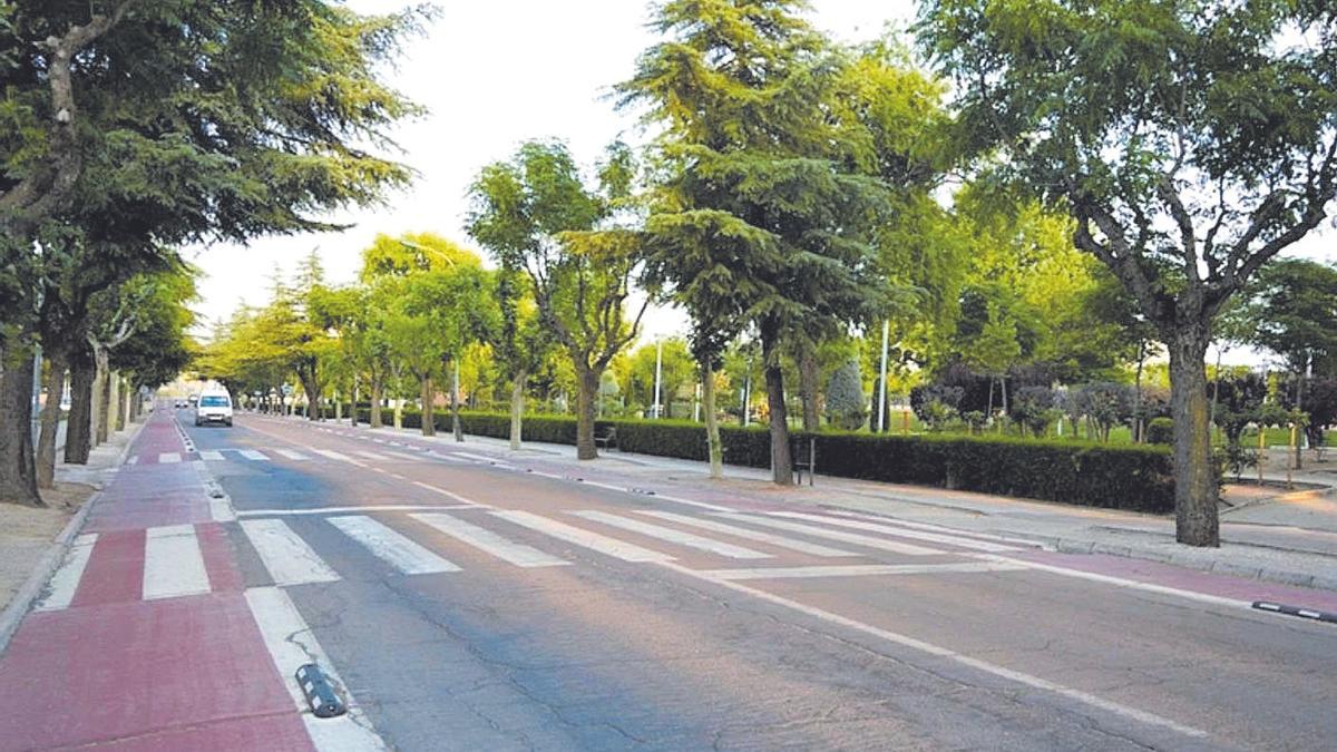 Zona de arboleda de la avenida de Chile en Villanueva.
