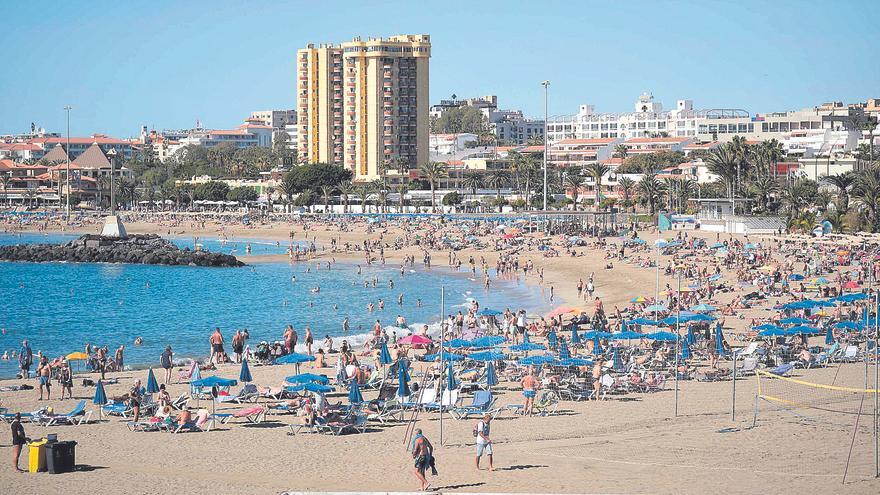 Varios empresarios del sur de Tenerife se quejan de robos de sus empleados