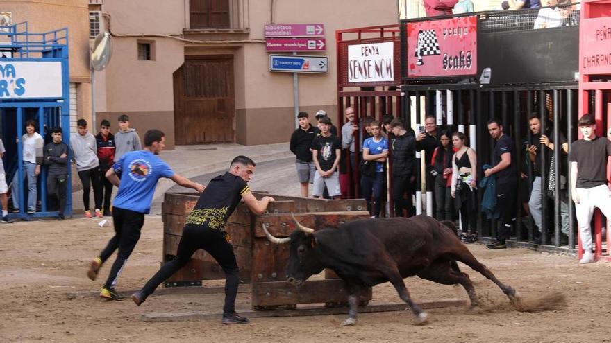 L&#039;Alcora combina actos taurinos y gastronomía durante este fin de semana