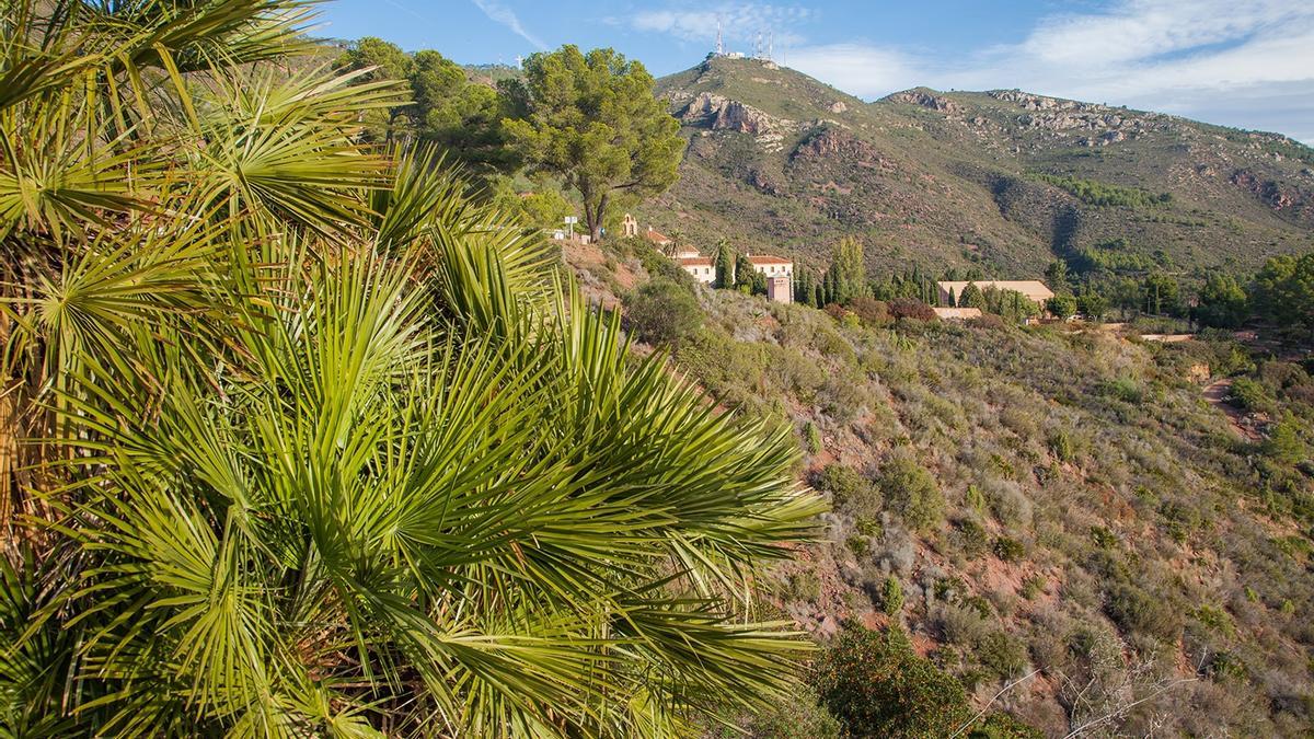 Es van construir nous depòsits al Parc Natural del Desert de les Palmes.