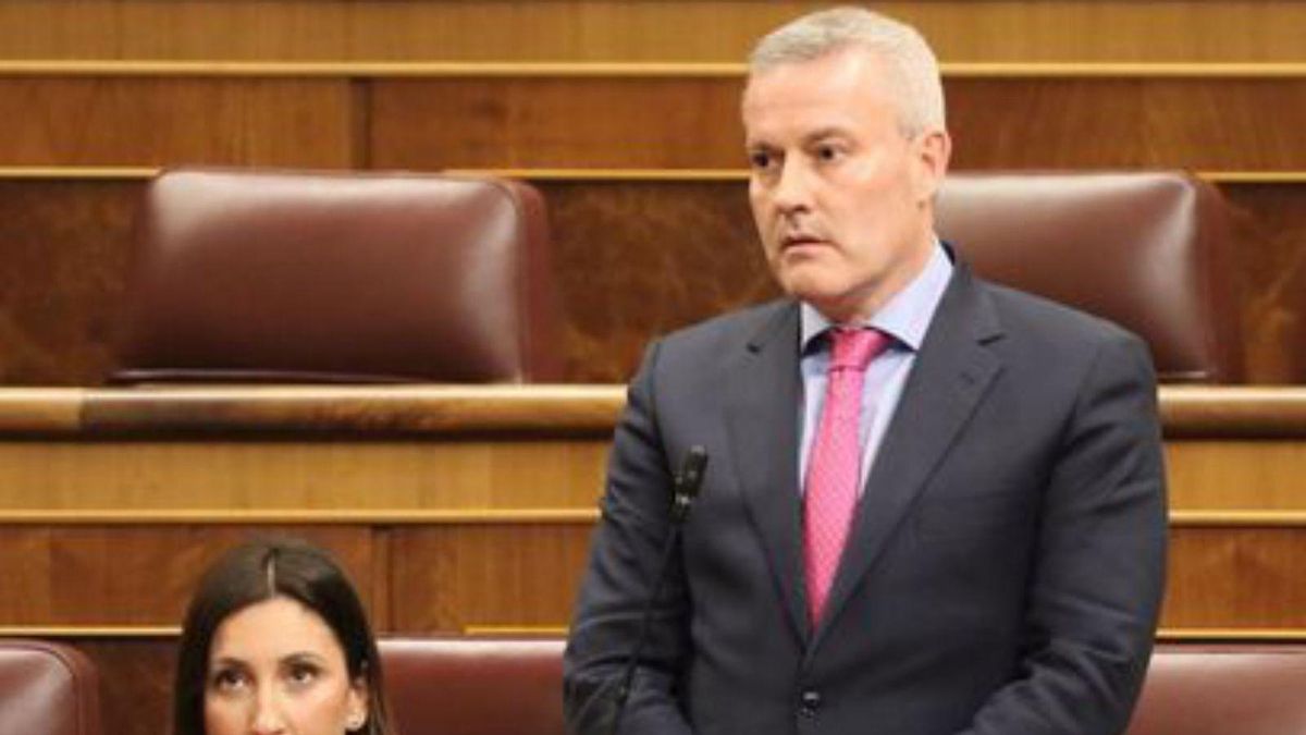 Piña, en el Congreso.