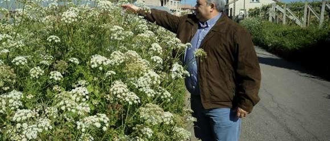 Luis Aragunde denunció ayer públicamente el estado de abandono del parque de A Modia (arriba) y el estado de las cunetas que llevan a Horsal. // I.A.