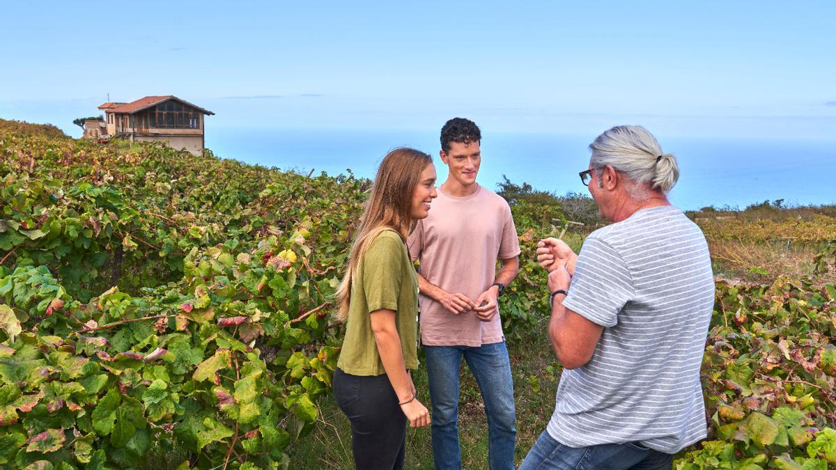 Turismo Islas Canarias promueve la digitalización del destino.