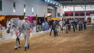 Ecuextre se inaugura este jueves en Badajoz y espera a miles de visitantes de España y Portugal