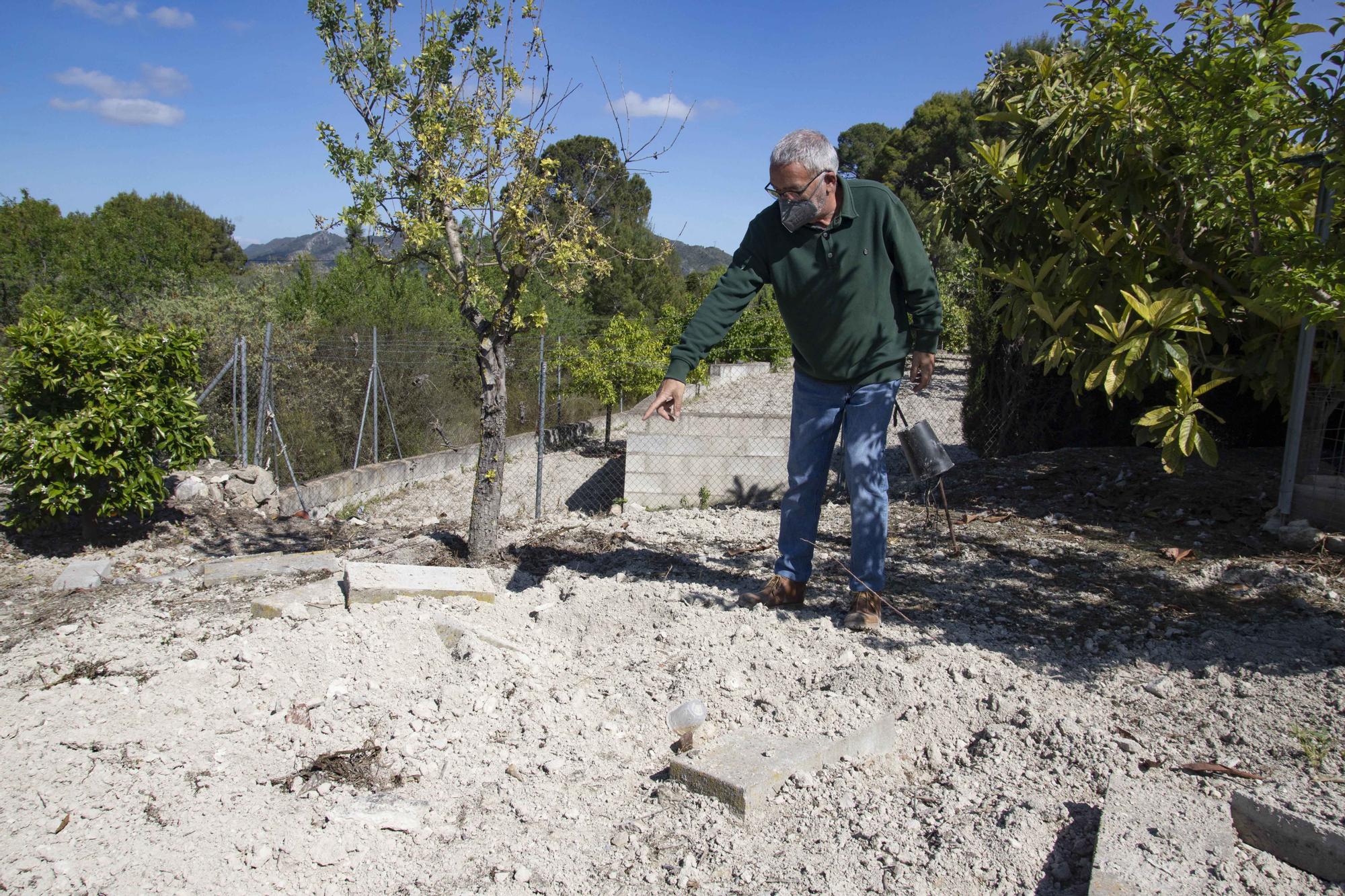 Los jabalíes destrozan parcelas de la urbanización Bixquert