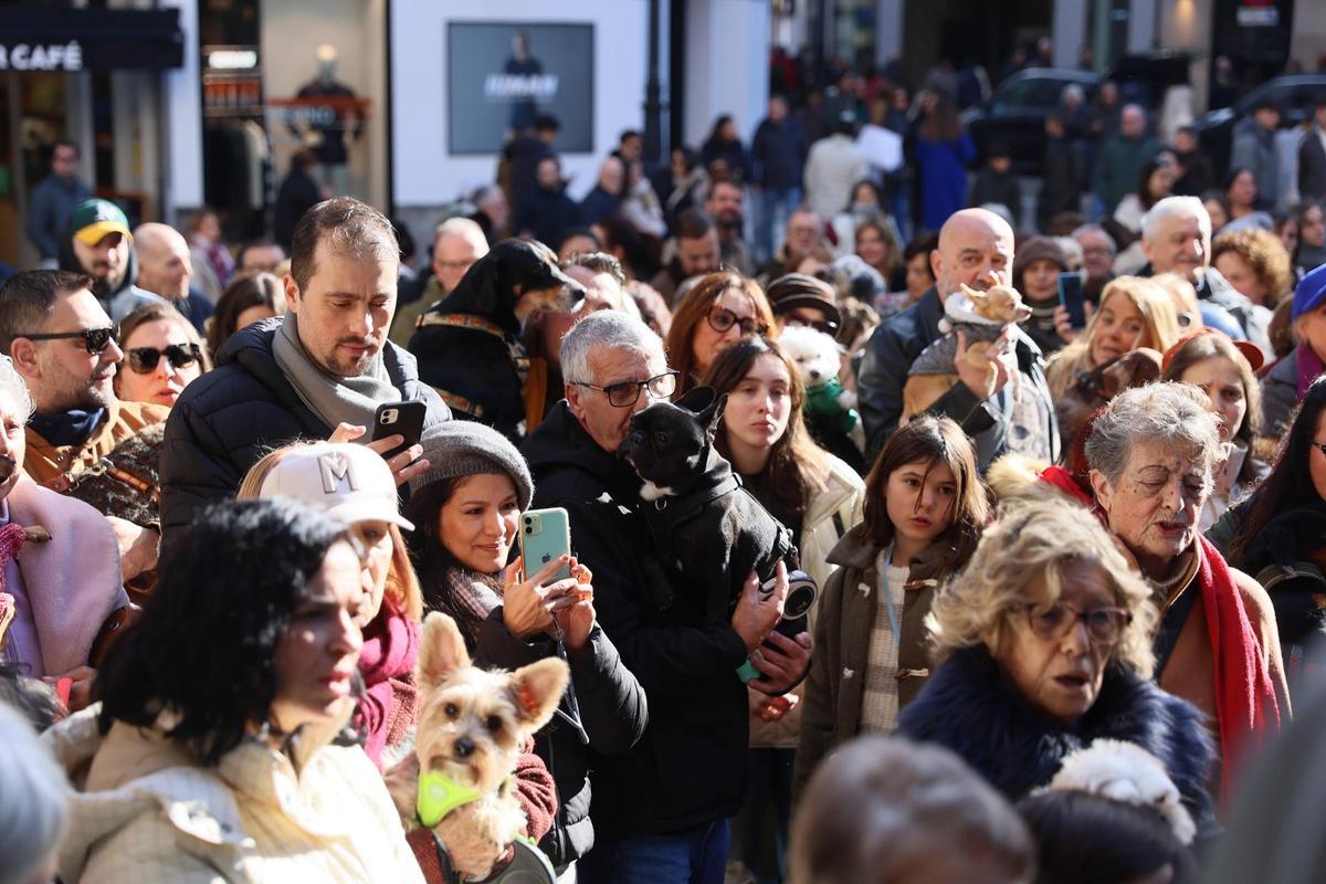 EN IMÁGENES: Oviedo bendice a sus mascotas por San Antón