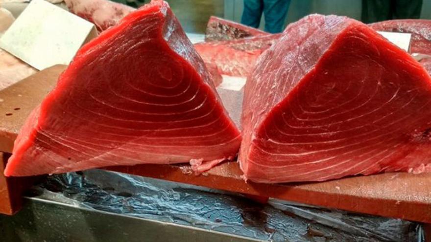Sanitat recomana que embarassades i nens menors de 10 anys no mengin tonyina vermella