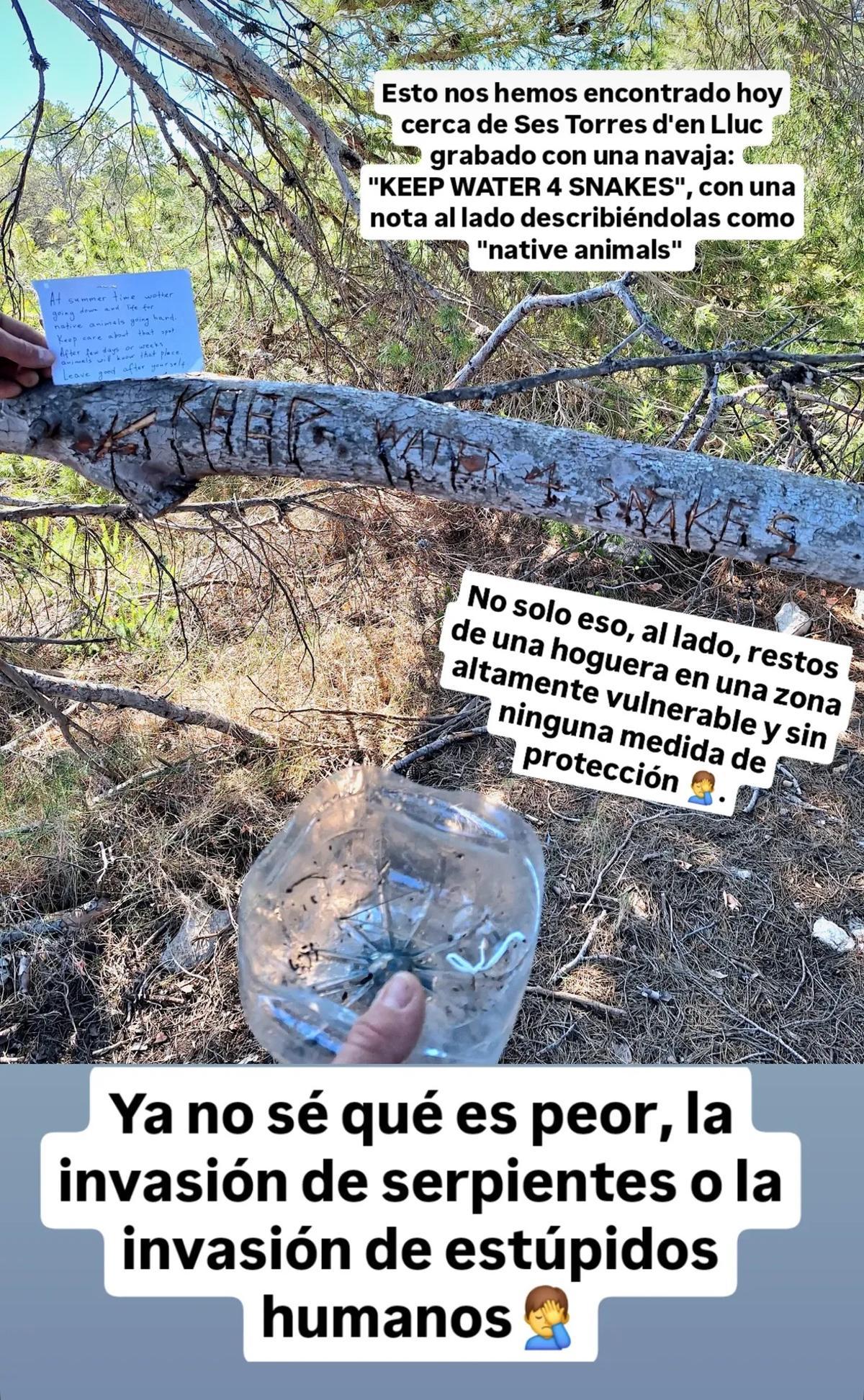 Imagen de la 'story' que ha compartido en Instagram