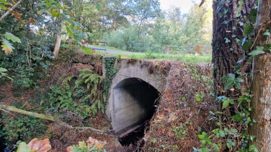 Puente sin barandilla sobre el río Cervañiña.