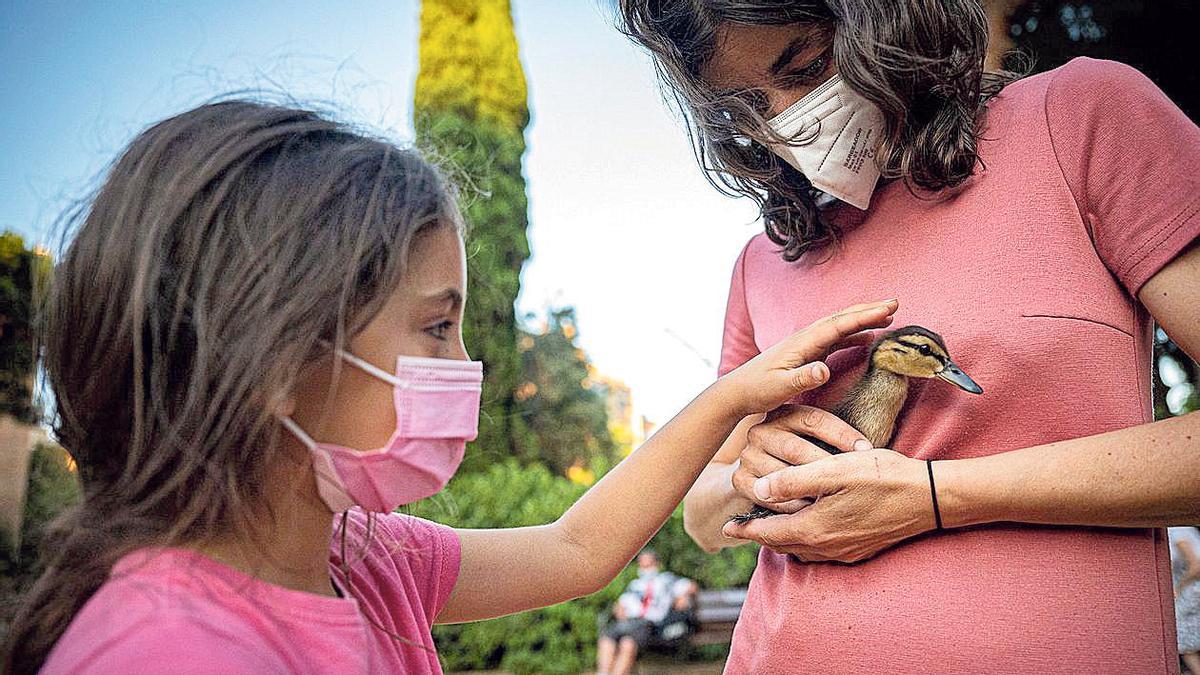 Ana María Sánchez, colaboradora de Biodivers, y su hija Vera con uno de los patitos rescatados.