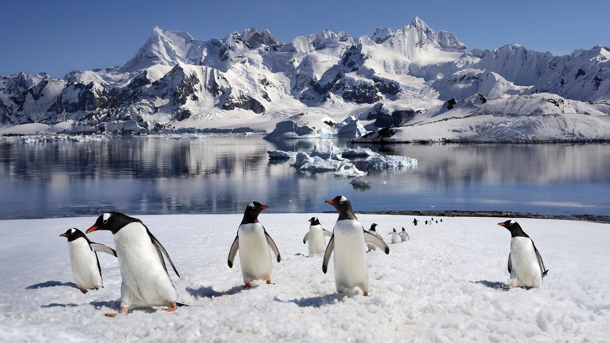La Antártida te espera: únete al viaje de tu vida por el séptimo continente