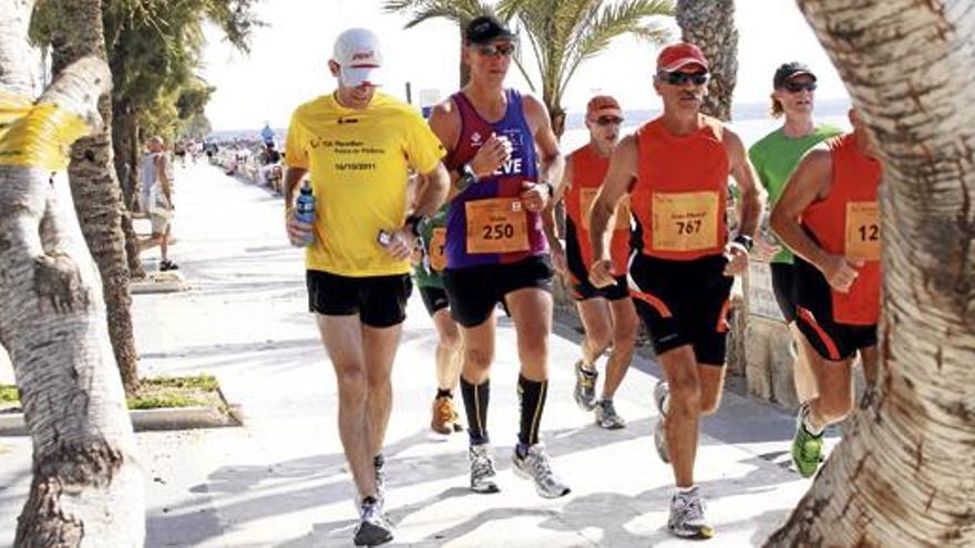 Zwischen Palmen in Palma: Teilnehmer an einem vergangenen Tui Marathon
