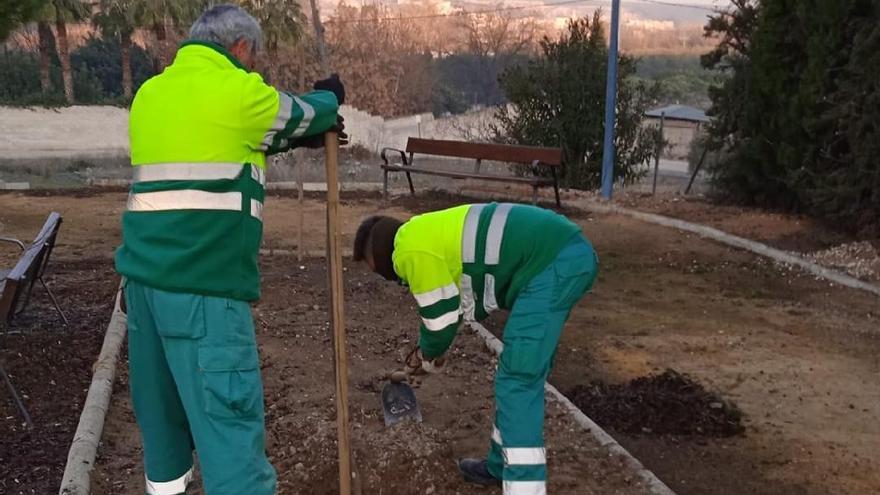 Empleados del Ayuntamiento de Puente Genil plantando un árbol.