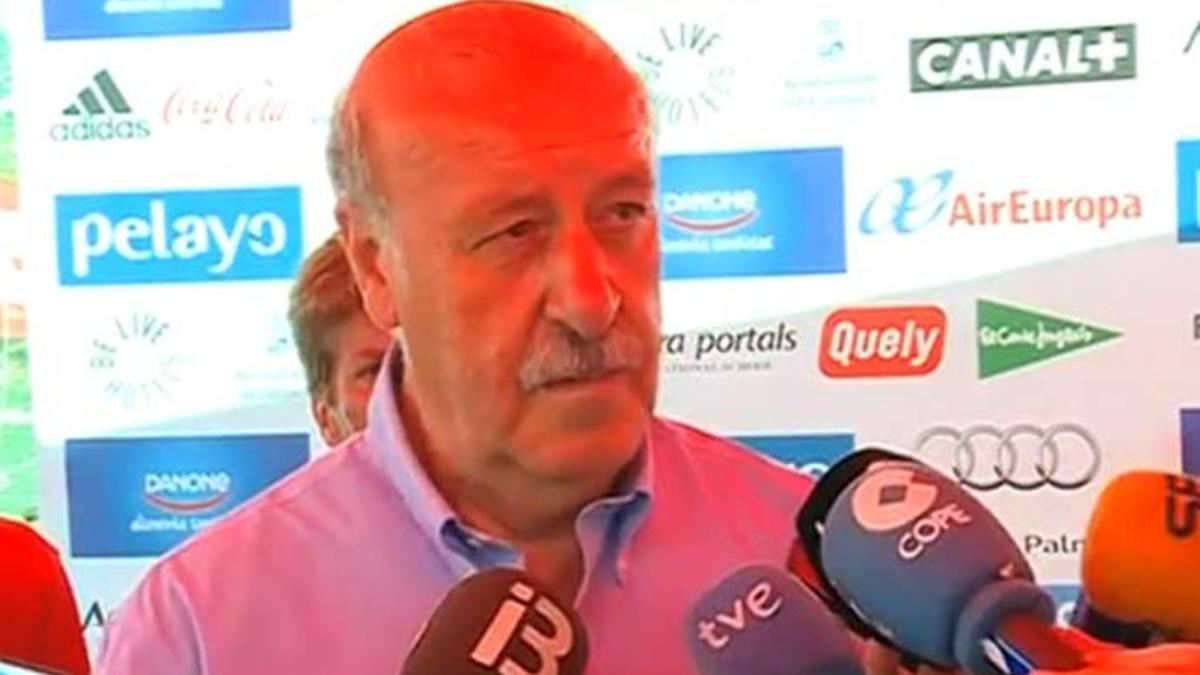 Del Bosque se 'mojó' sobre la polémica surgida por los pitos al himno español en la final de Copa