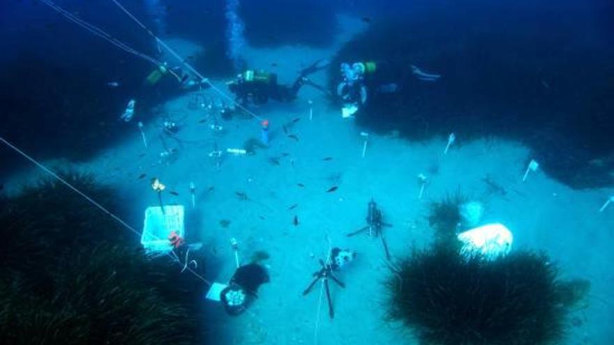 Bussejadors treballant a l&#039;àrea d&#039;estudi, a la costa de Sicília.