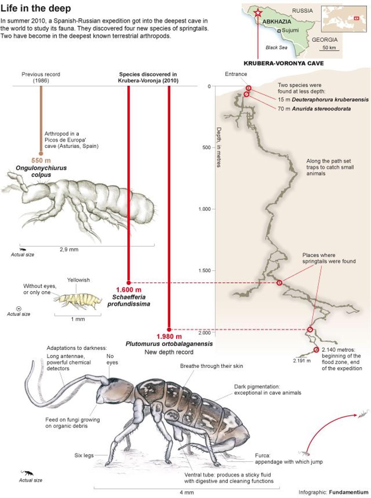 A la derecha del gráfico, trazado de la gruta