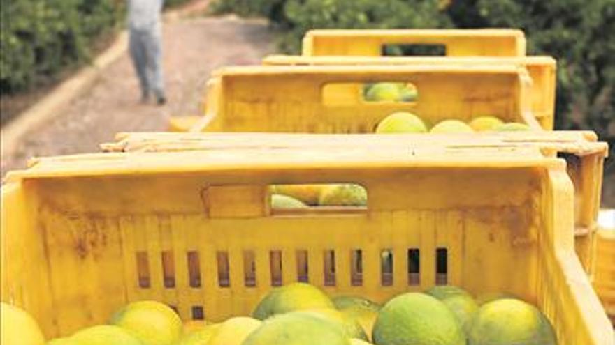 Las ayudas agrarias llegarán al doble de beneficiarios