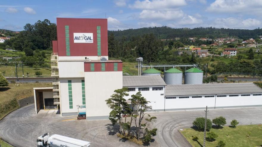 La Xunta declara estratégico el futuro centro de incubación de huevos de Avigal en Friol