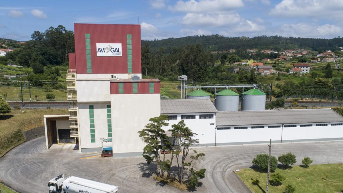 Avigal construirá en Friol un centro de incubación de huevos