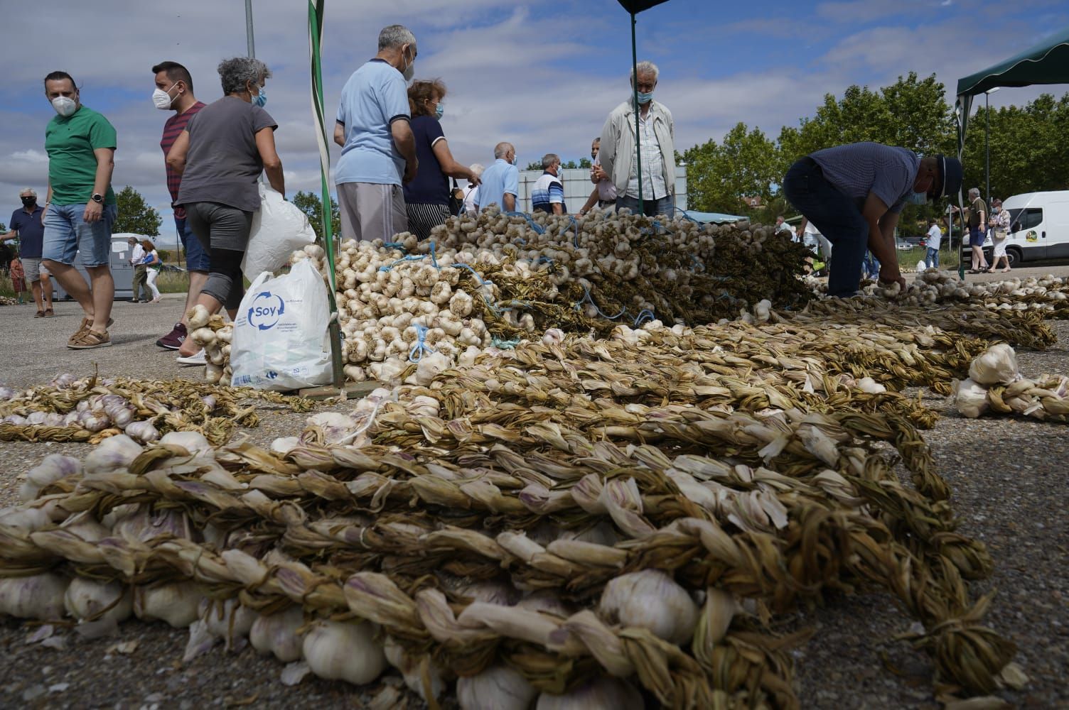 GALERÍA | La Feria del Ajo triunfa en Zamora: buena producción y colas para llegar a Ifeza