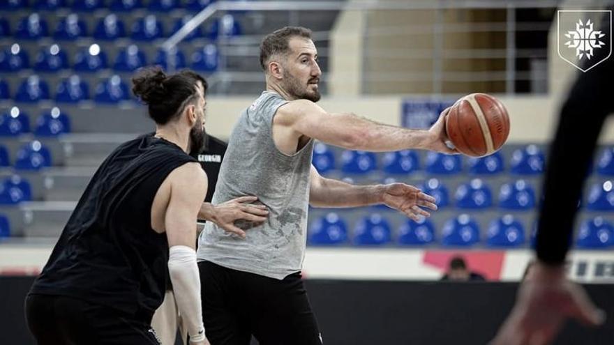 Cuatro jugadores del HLA Alicante se foguean con sus selecciones