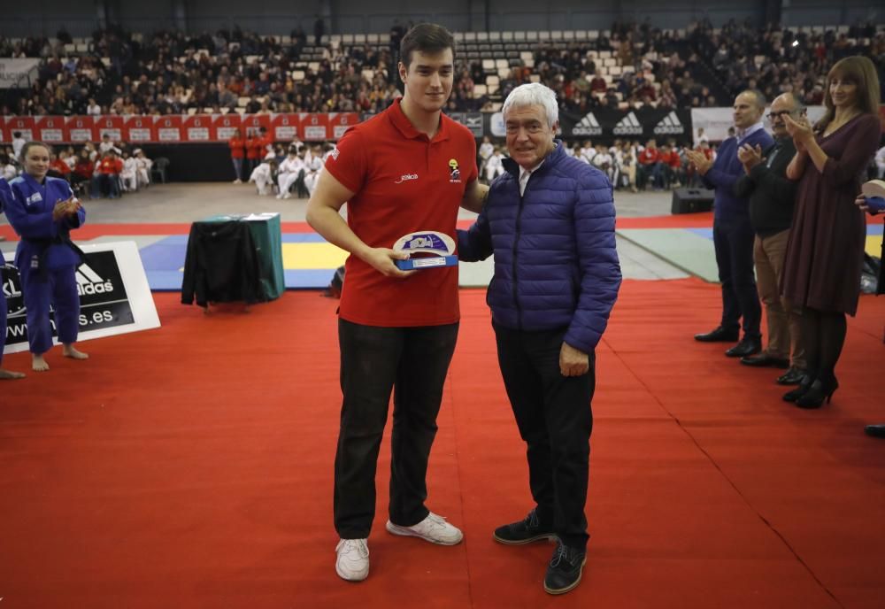 26ª edición de la Fiesta del Judo Infantil.