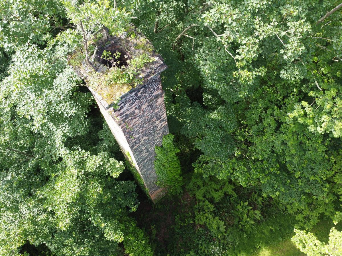 El bosque del Fulminato.