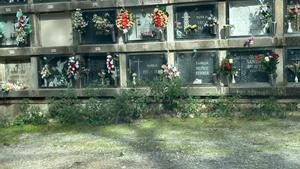 Dejadez en el cementerio de Collserola, falta de mantenimiento