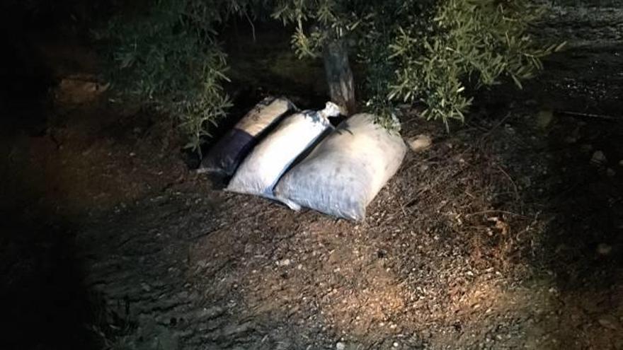 Identifican a dos ladrones tras un robo nocturno de oliva en Biar