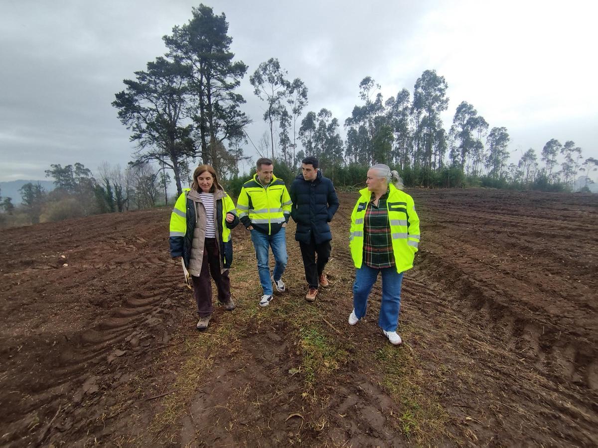 Por la izquierda, Carmen Bernaldo de Quirós, técnica municipal, David del Pozo, concejal de Medio Rural y Ganadería, Nicolás Fernández, concejal de Participación Ciudadana, y Eva María Pérez, alcaldesa de Llanera, visitando la zona.