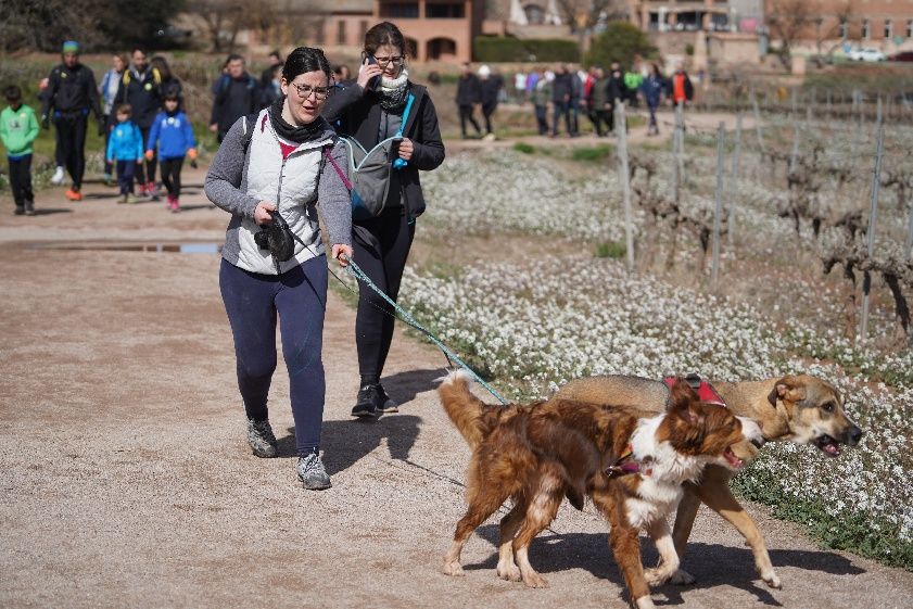 Transéquia 2024: Busca't a les fotos