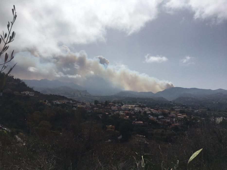 Incendio en Tejeda