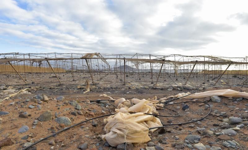 Invernaderos, abandonados en el sureste