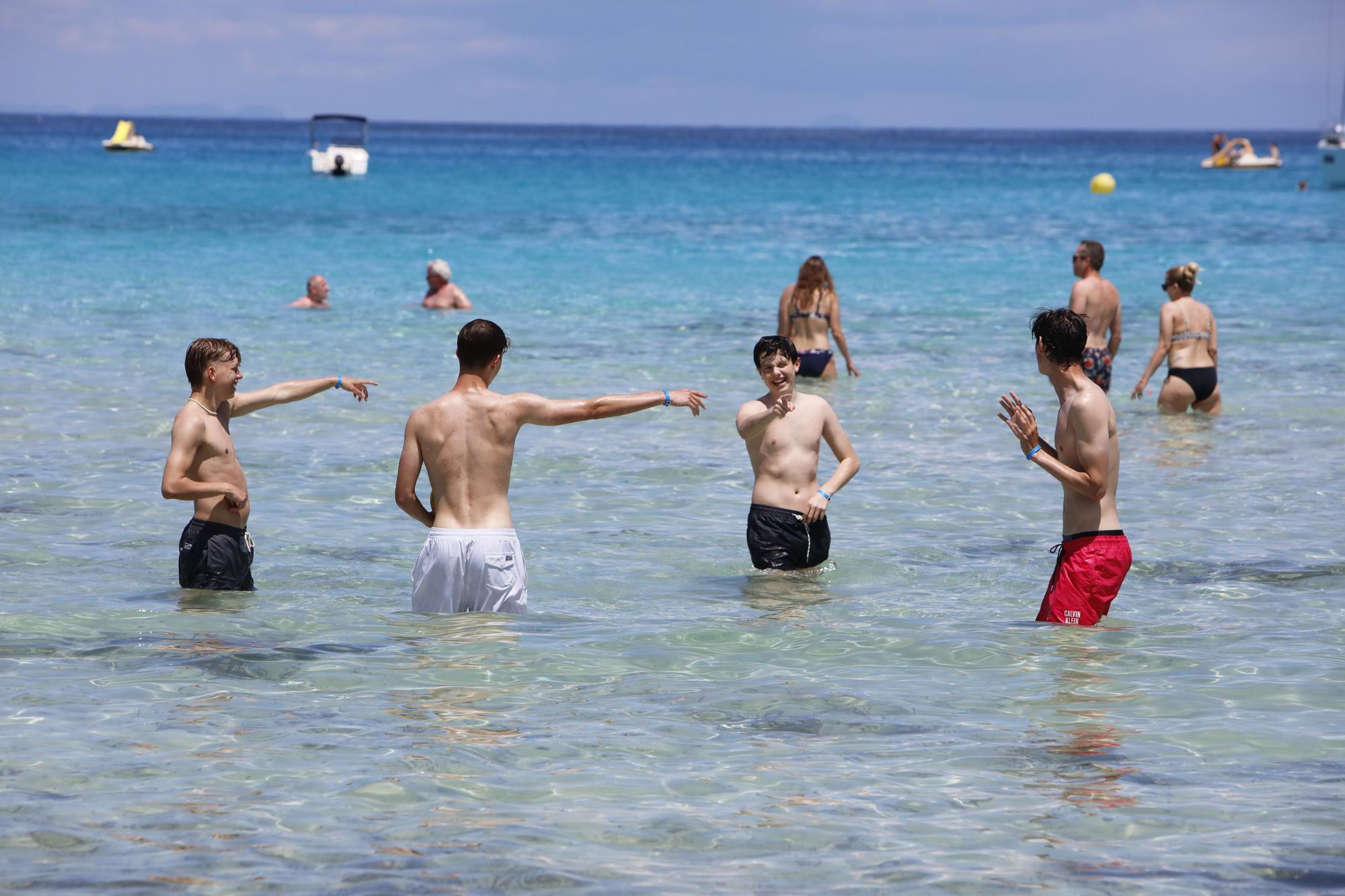 Wie im Hochsommer. So vergnügen sich schon jetzt die Urlauber an der Cala Agulla bei Cala Ratjada