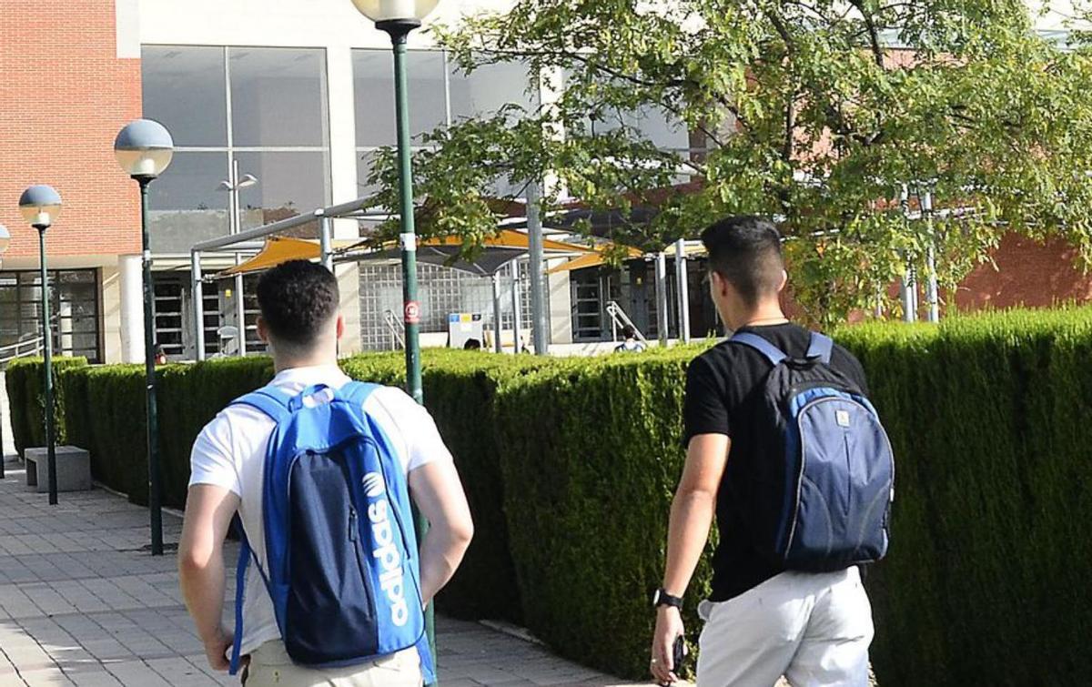 Alumnos en el campus de la UMH