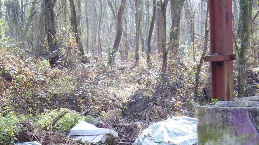 Basura en el bosque de La Zoreda.