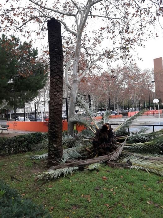 El temporal, en Valencia ciudad