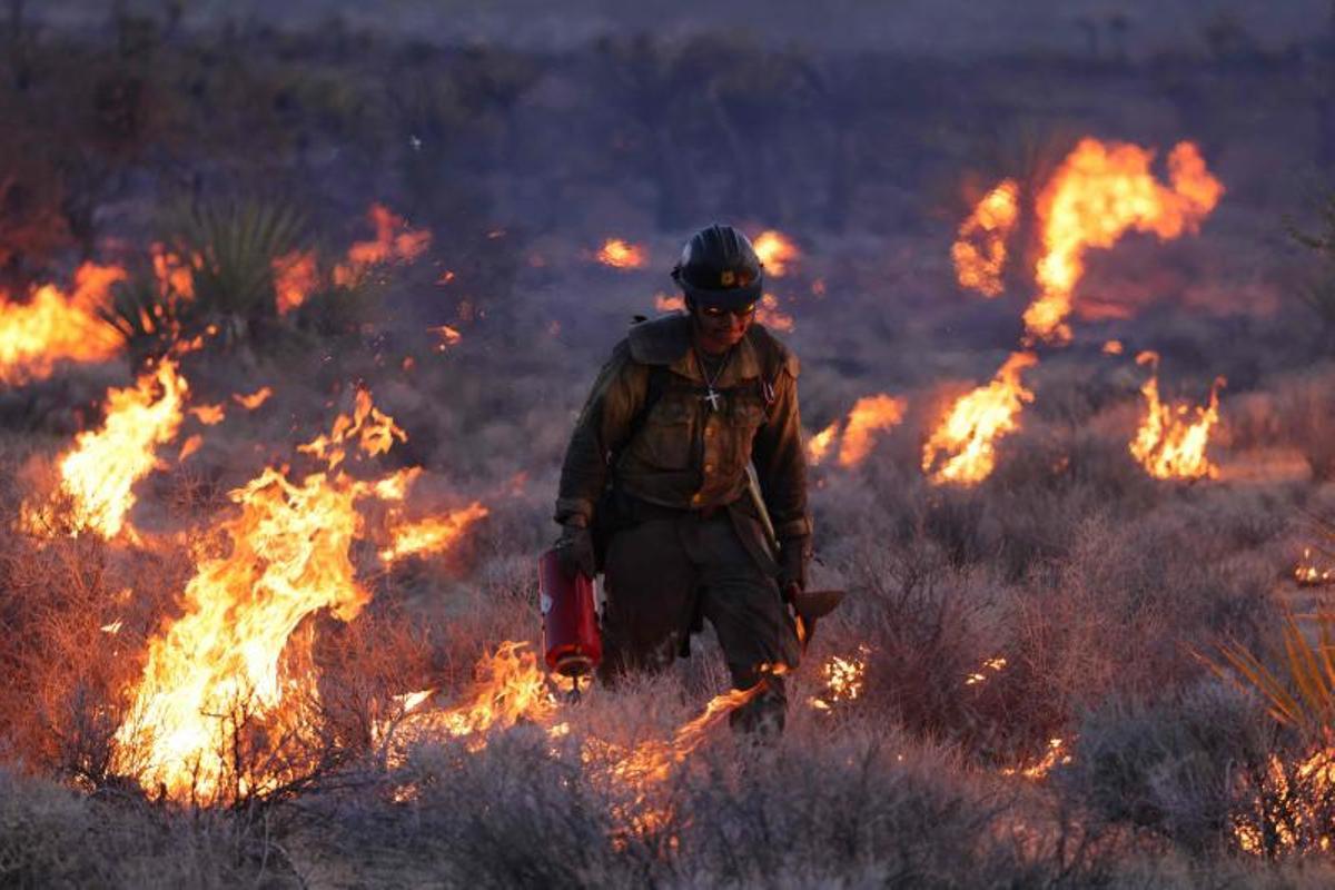 Arde la Reserva Nacional de Mojave entre California a Nevada