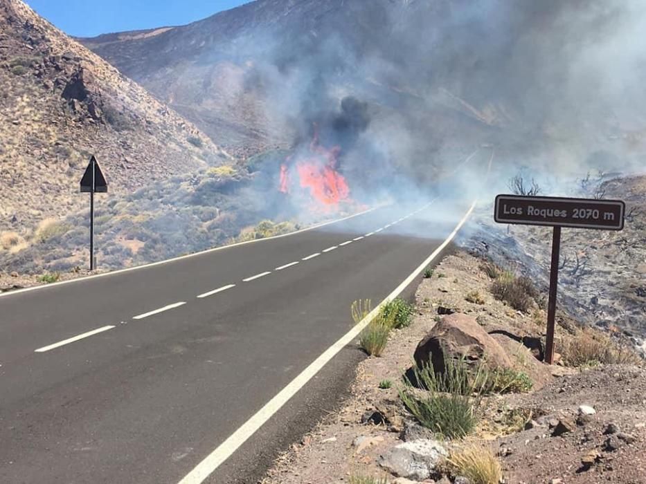 Conato de incendio en las Cañadas del Teide