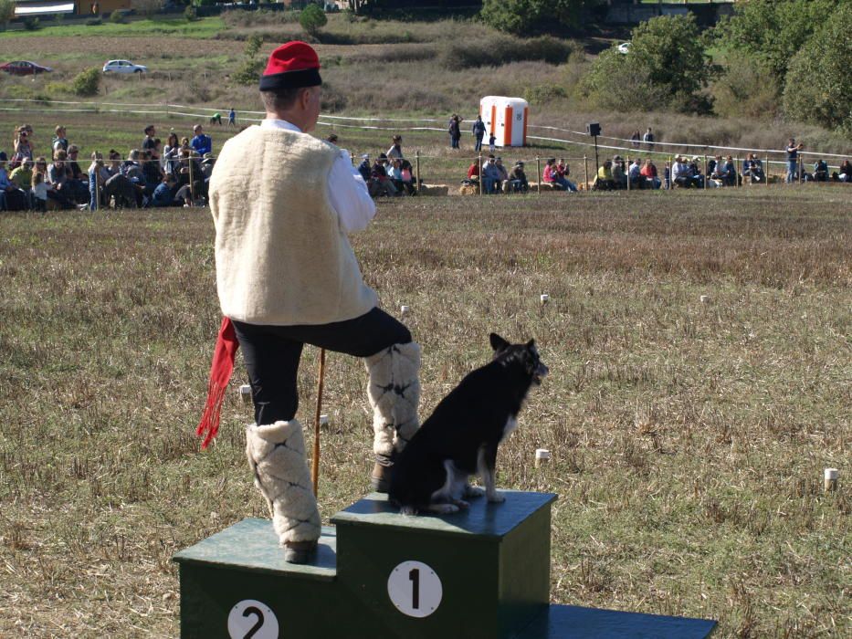 Concurs de Gossos d'Atura de Castellterçol