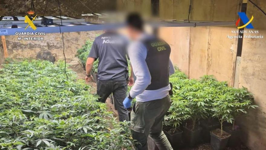 ¿Qué es el rosin de cannabis?: la sustancia detectada en Canarias que preocupa por su riesgo de psicosis