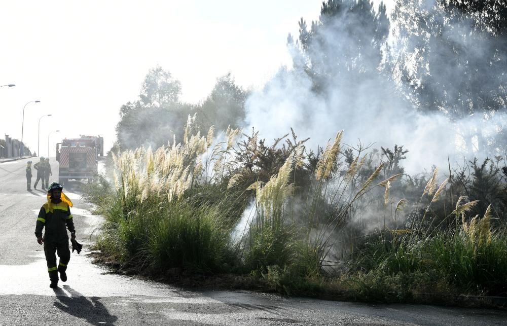 El fuego, en una zona situada entre A Zapateira y A Corveira, se inició pasadas las ocho de la mañana y quedó sofocado al filo de las 10.00 horas.