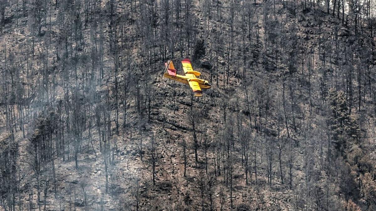 Un hidroavión sobrevuela las zonas quemadas en el reciente incendio forestal de Los Realejos. | | MARÍA PISACA