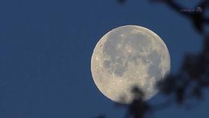 superluna