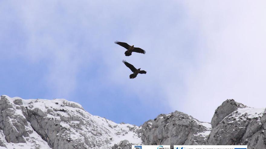 &quot;Deva&quot; y &quot;Casanova&quot; en los Picos de Europa