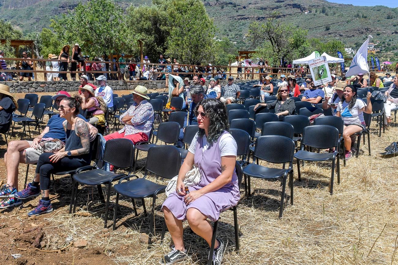 Festival de Sostenibilidad y Cultura, Soltura en Valsequillo