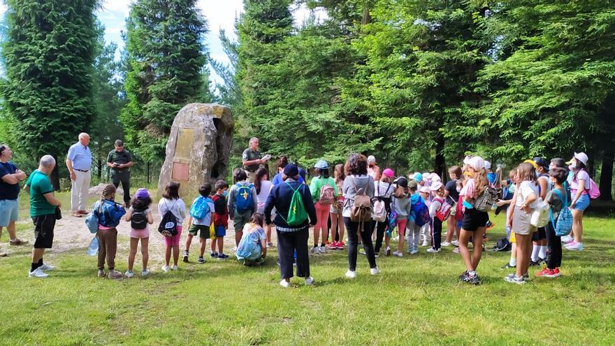 El CEIP Espedregada de Raxó celebra el Día del Medio Ambiente en el Bosque de Colón