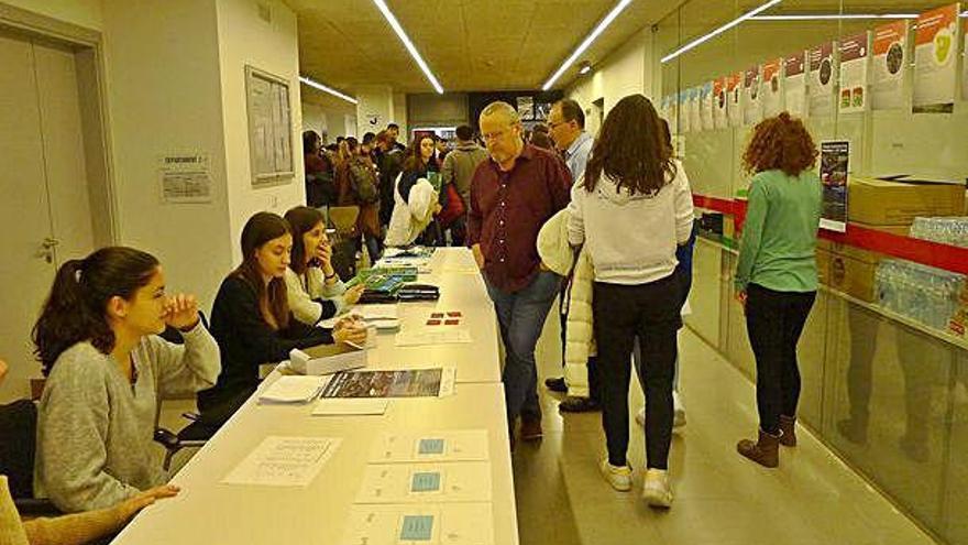 Estudiants participant en l&#039;activitat matemàtica.