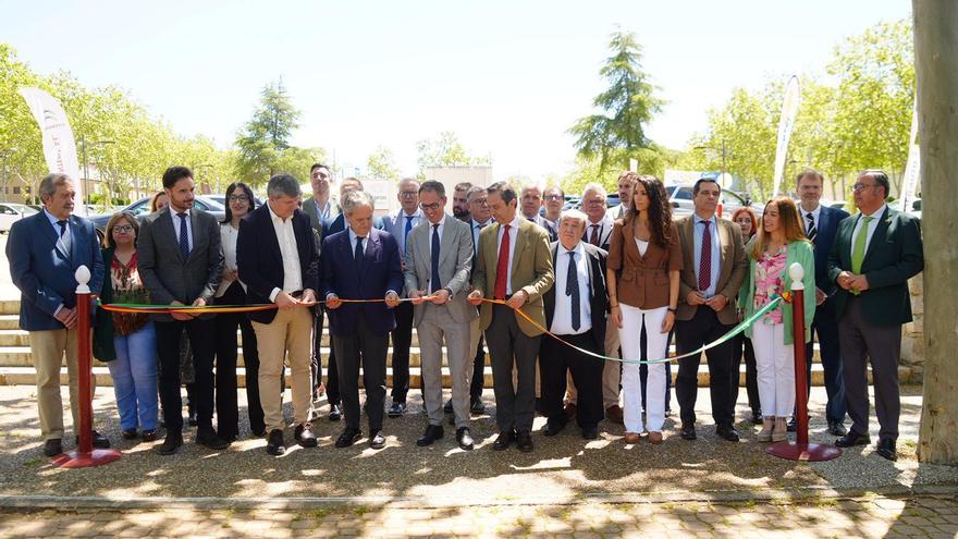 La Feria Agroganadera de Los Pedroches, en imágenes